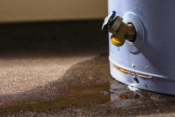 Best Water damage restoration near me  in Forty Fort, PA