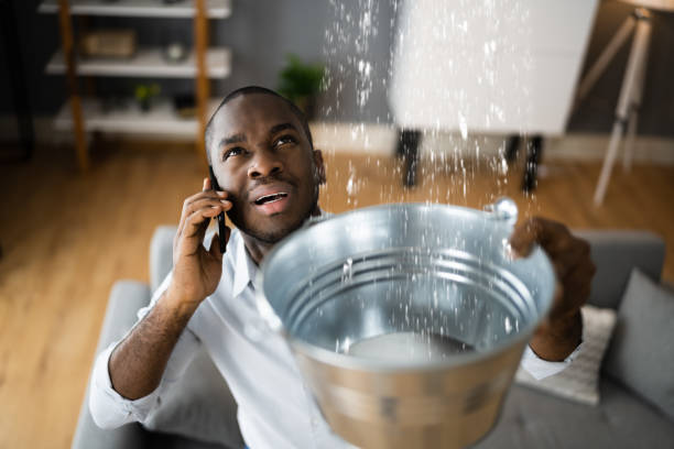 Best Flood restoration services  in Forty Fort, PA