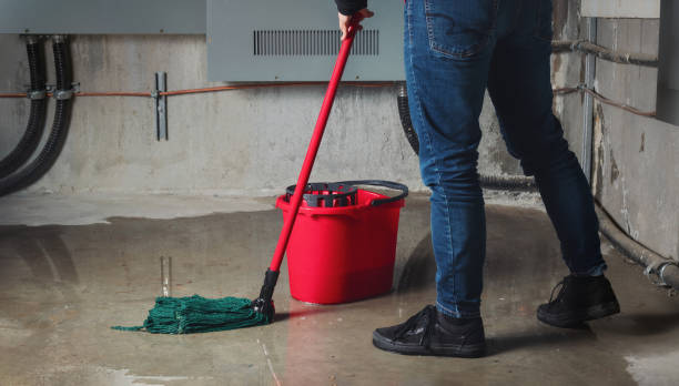 Best Mold removal after water damage  in Forty Fort, PA