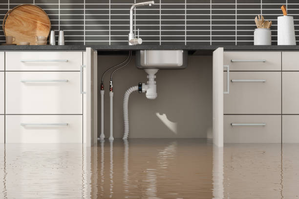 Best Residential water damage restoration  in Forty Fort, PA