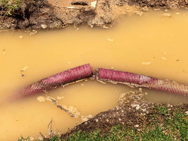 Best Sewage cleanup and water damage restoration  in Forty Fort, PA
