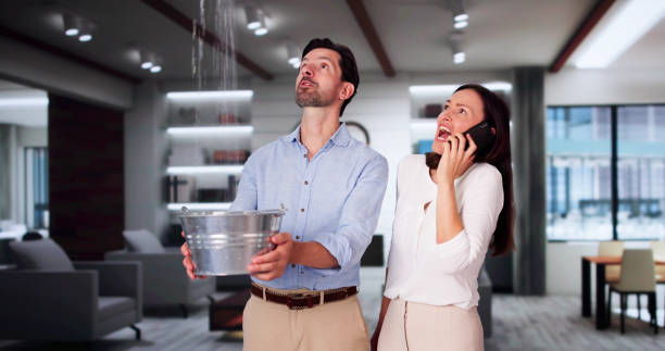 Best Carpet water damage restoration  in Forty Fort, PA