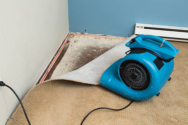 Best Flooded house restoration  in Forty Fort, PA